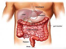 Prevent Gastrointestinal Surgery