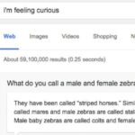 I’m Feeling Curious Trick | Google Fun Facts Straight From Google