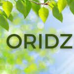 Unveiling the Power of Oridzin: A Comprehensive Guide