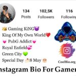 instagram bio gamer