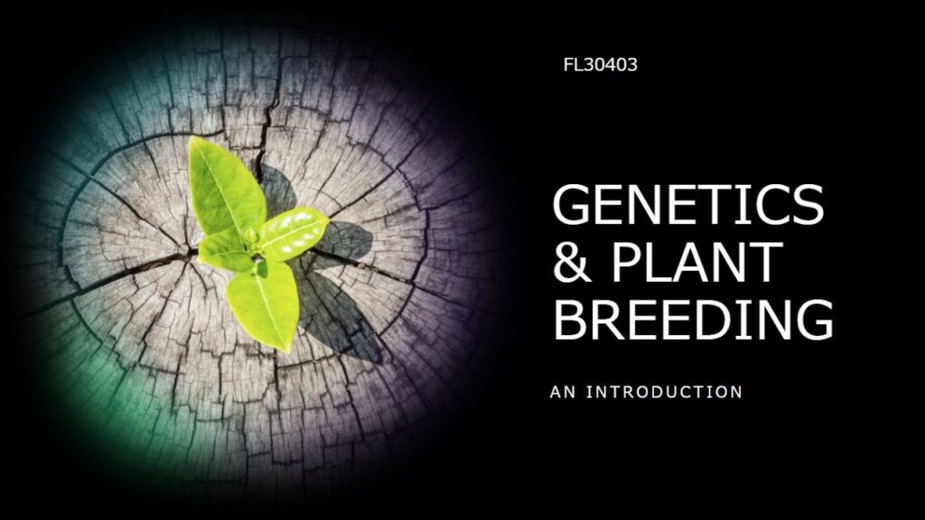 PLANT BREEDING AND GENETICs