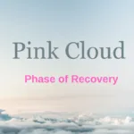 Navigate the Pink Cloud in Recovery and Balancing Euphoria